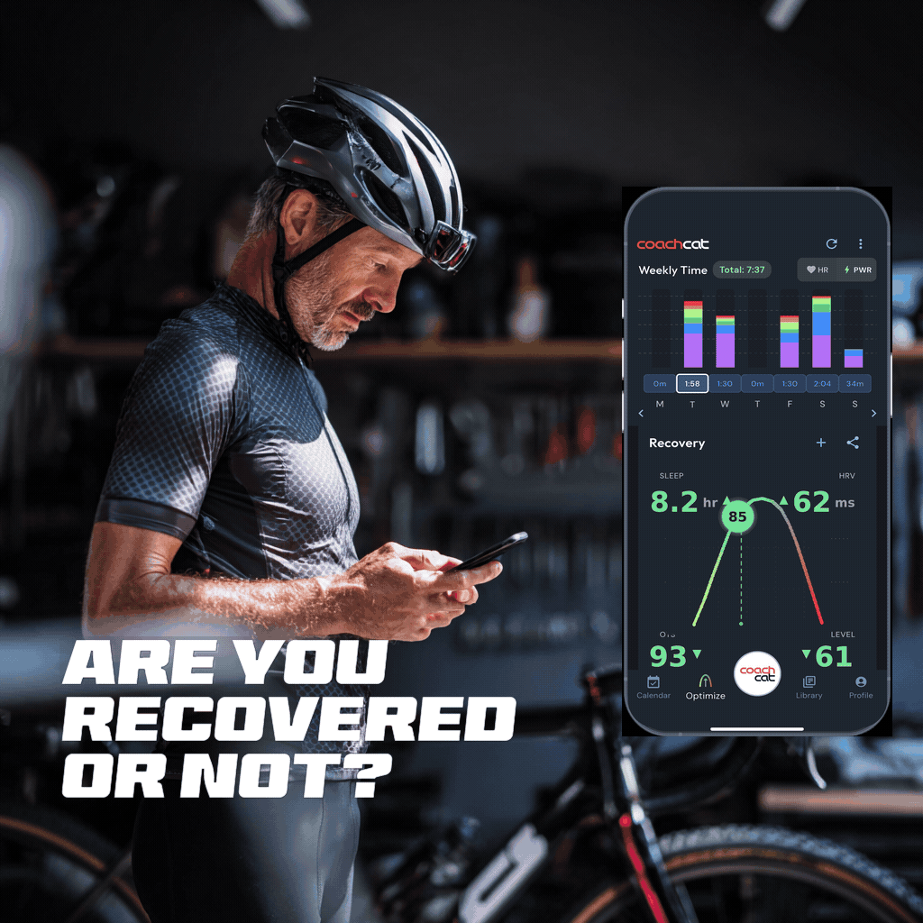 Masters cyclist checking his CoachCat Optimize recovery score, showing sleep, HRV, OTS and Level to answer whether he is recovered