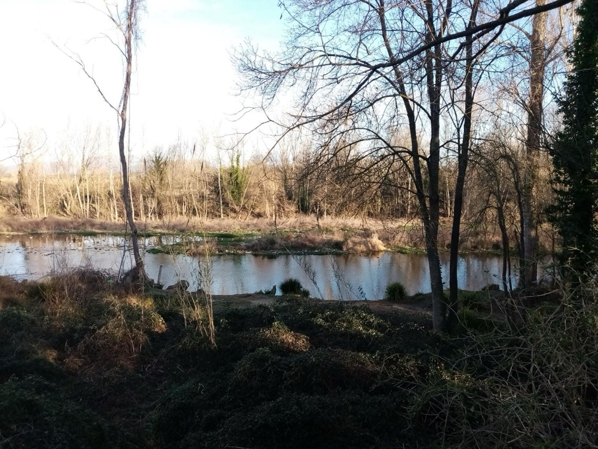The Ter river beside the Day 1 greenway route
